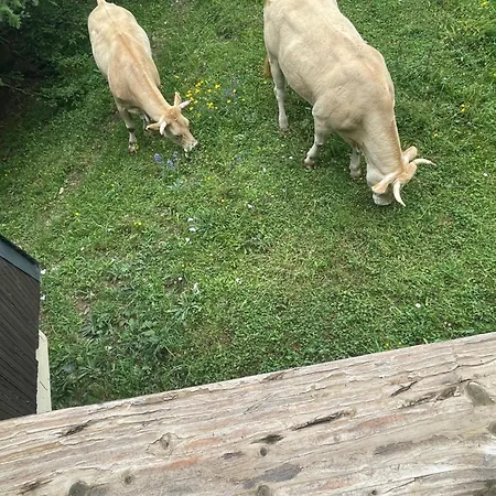 Chalet Entier Dans Le Domaine Skiable Pla D'adet