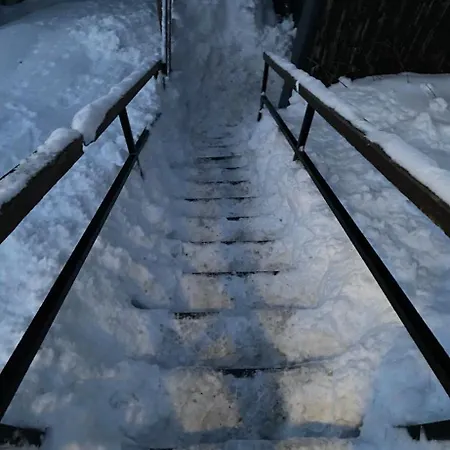 Entier Dans Le Domaine Skiable Pla D'adet *