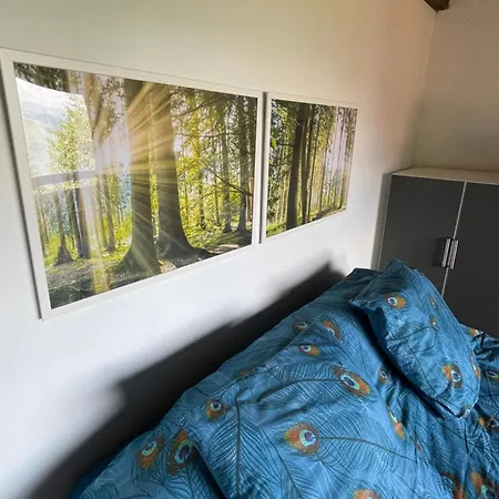 Entier Dans Le Domaine Skiable Pla D'adet * Saint-Lary-Soulan