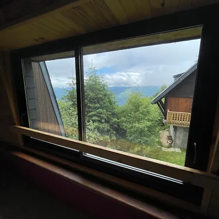 Entier Dans Le Domaine Skiable Pla D'adet *