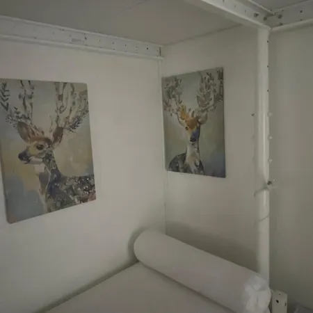 Entier Dans Le Domaine Skiable Pla D'adet Saint-Lary-Soulan