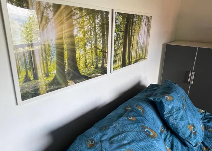 Entier Dans Le Domaine Skiable Pla D'adet * Saint-Lary-Soulan