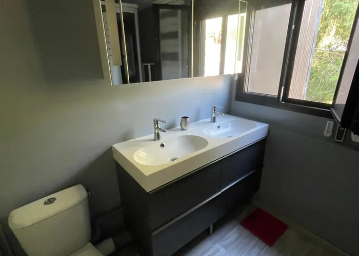 Entier Dans Le Domaine Skiable Pla D'adet