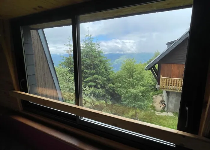 Entier Dans Le Domaine Skiable Pla D'adet *