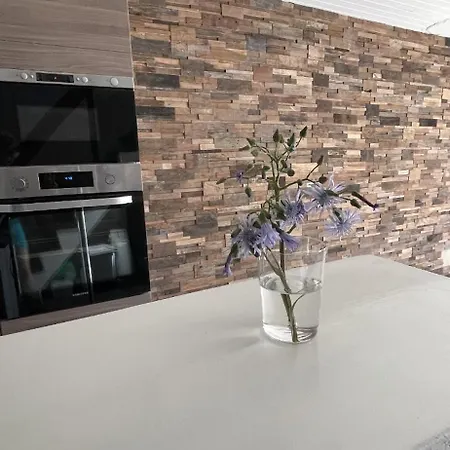 Entier Dans Le Domaine Skiable Pla D'adet *