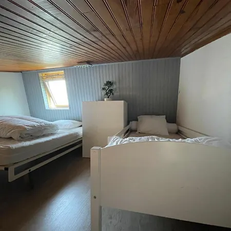 Entier Dans Le Domaine Skiable Pla D'adet *