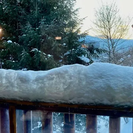 Entier Dans Le Domaine Skiable Pla D'adet סן-לארי-סולאן