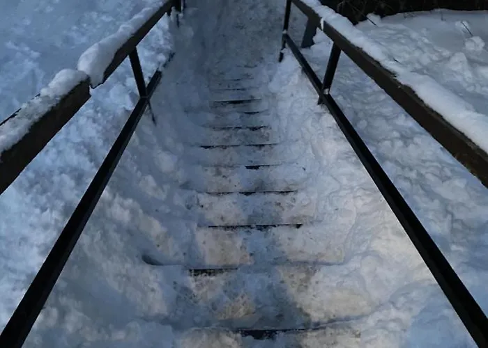 Entier Dans Le Domaine Skiable Pla D'adet *