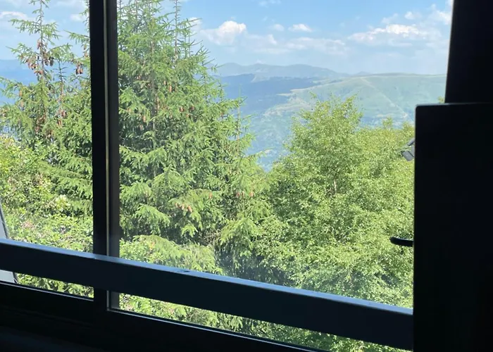 Entier Dans Le Domaine Skiable Pla D'adet Chalet *