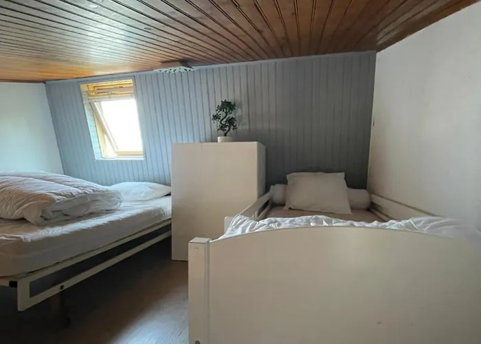 Entier Dans Le Domaine Skiable Pla D'adet *