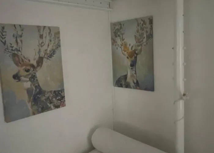 Entier Dans Le Domaine Skiable Pla D'adet Saint-Lary-Soulan